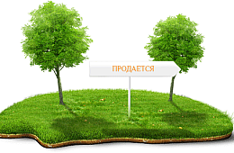 Proces zakupu działki