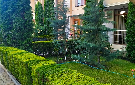 ID 15514 0 Zdjęcie 8
