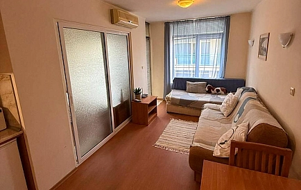 ID 15271 Рэинбоу Zdjęcie 2