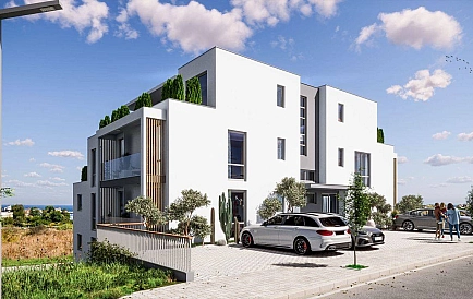 ID 14800 Маэстра Сол Zdjęcie 2