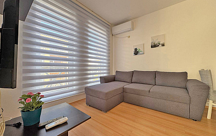 ID 14749 Санни Дей 6 Zdjęcie 1 