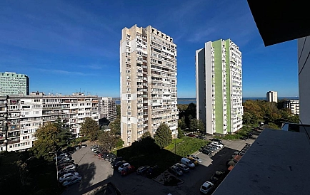 ID 14761 Зорница Zdjęcie 5