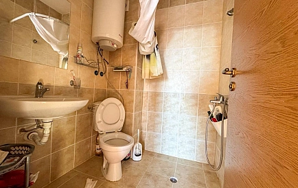 ID 14868 Санни Дей 6 Zdjęcie 4