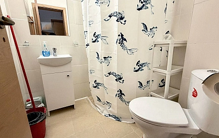 ID 15403 Kawalerka w Sunny Day 6 Zdjęcie 4