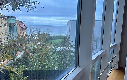 ID 14841 Dwupokojowe mieszkanie w Oasis Zdjęcie 5