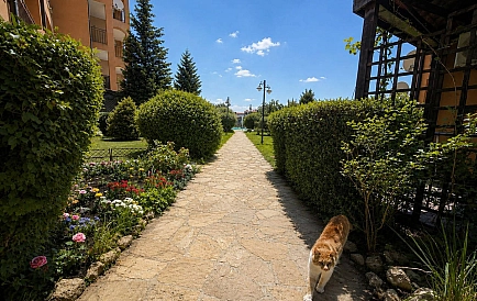 ID 15840 Kawalerka w Chateau Aheloy 1 Zdjęcie 8
