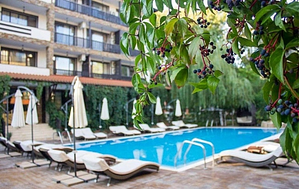 ID 2750 Grin Paradajz 2 Zdjęcie 3