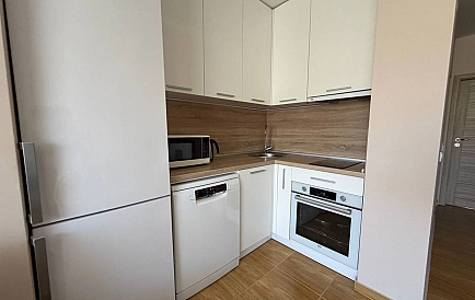 ID 15469 Скай Дриймс Zdjęcie 2