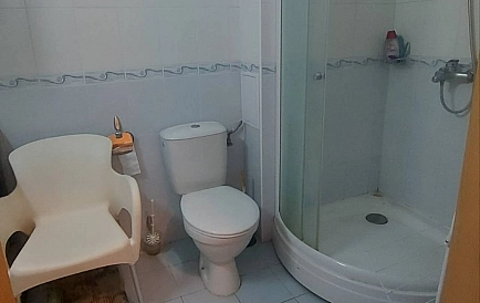 ID 14981 Сан Флауер Zdjęcie 5