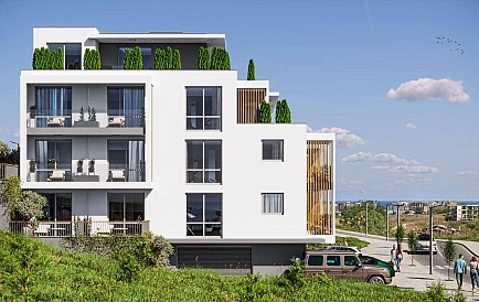 ID 14800 Маэстра Сол Zdjęcie 3