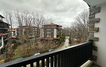 ID 15247 Грин Парадайз 5 Zdjęcie 6