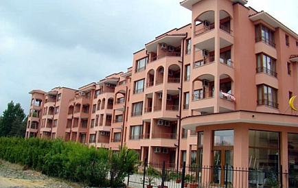 ID 14981 Сан Флауер Zdjęcie 6