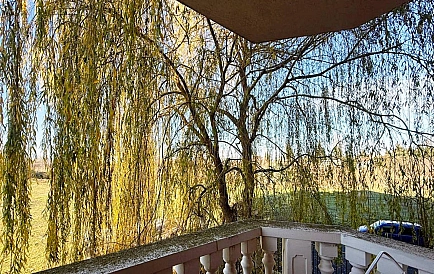 ID 15341 Dwupokojowe mieszkanie w Sea Diamond Zdjęcie 5