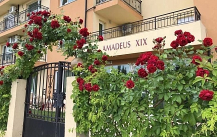 ID 14569 Apartament typu studio w Amadeus 19 Zdjęcie 7