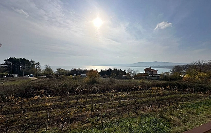 ID 14861 Аспро Марина Zdjęcie 7