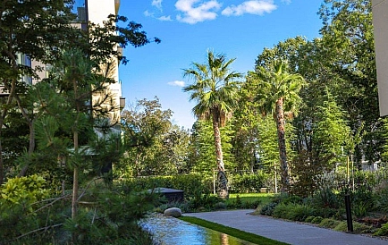 ID 13811 0 Zdjęcie 4