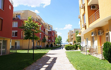 ID 15253 Санни Дей 5 Zdjęcie 10