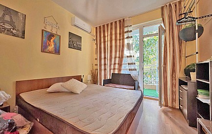 ID 14782 Санни Дей 6 Zdjęcie 1 