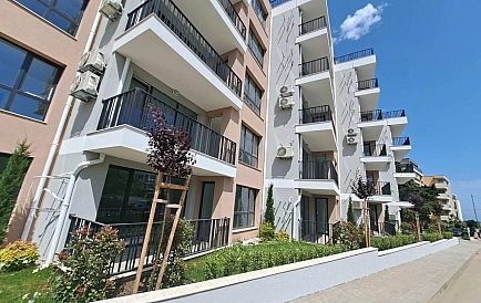 ID 14906 0 Zdjęcie 7