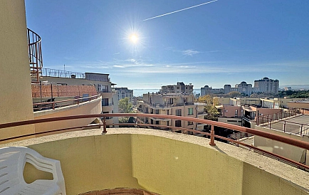 ID 14986 Антония Zdjęcie 5