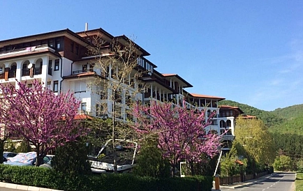 ID 15464 Этера 3 Zdjęcie 7