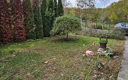 ID 14803 0 Zdjęcie 7