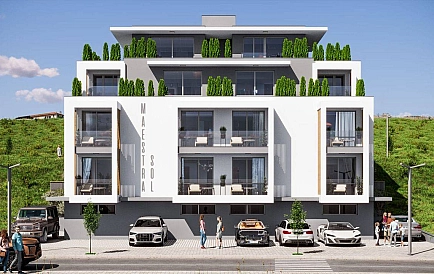 ID 14800 Маэстра Сол Zdjęcie 4