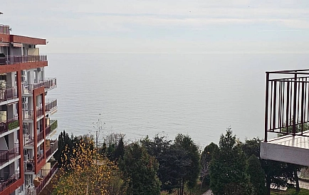 ID 15363 0 Zdjęcie 10