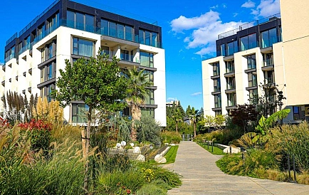 ID 13811 0 Zdjęcie 7