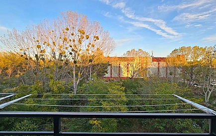 ID 14765 0 Zdjęcie 9