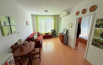 ID 15253 Санни Дей 5 Zdjęcie 3