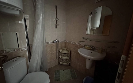 ID 15246 Санни Дей 3 Zdjęcie 3