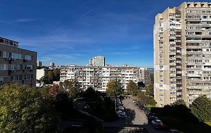 ID 14761 Зорница Zdjęcie 6