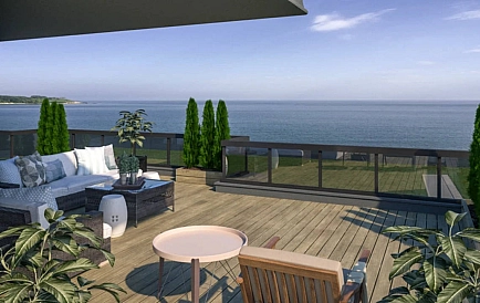 ID 10456 Czernomorec Zdjęcie 6