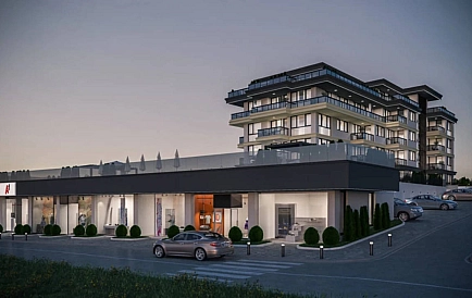 ID 10456 Czernomorec Zdjęcie 7