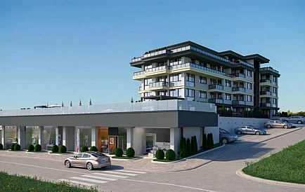 ID 10456 Czernomorec Zdjęcie 5