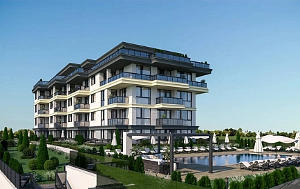 ID 10456 Czernomorec Zdjęcie 9