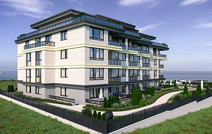 ID 10456 Czernomorec Zdjęcie 2