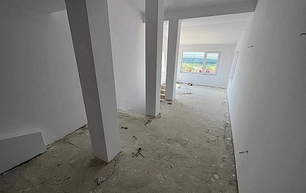 ID 10741 Koszarica Zdjęcie 3