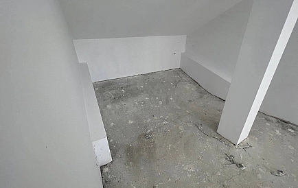 ID 10741 Koszarica Zdjęcie 8