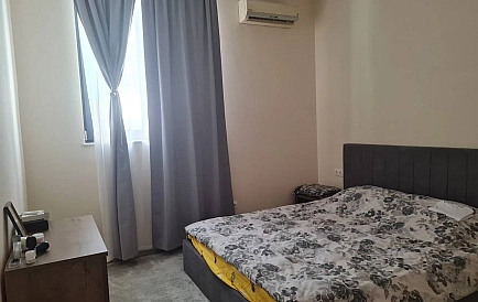 ID 10901 Warna Zdjęcie 3