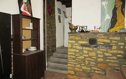 ID 10926 Warna Zdjęcie 2