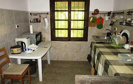 ID 10926 Warna Zdjęcie 3