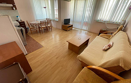 ID 11041 Elenite Zdjęcie 1 