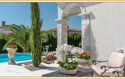 ID 11563 Słoneczny Brzeg Zdjęcie 8