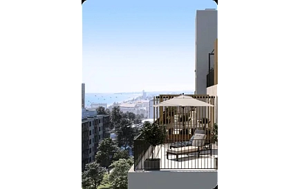 ID 12334 Warna Zdjęcie 5