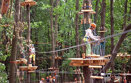 ID 12335 Warna Zdjęcie 10