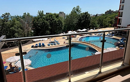 ID 12374 Złote Piaski Zdjęcie 5