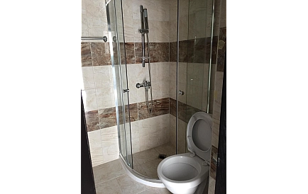 ID 3720 Grin paradajse 4 Zdjęcie 2