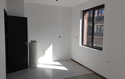 ID 3720 Grin paradajse 4 Zdjęcie 3